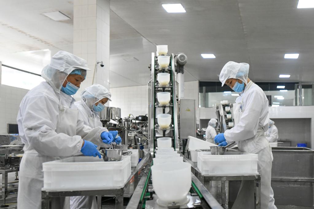 四川沐川:魔芋產(chǎn)業(yè)助振興