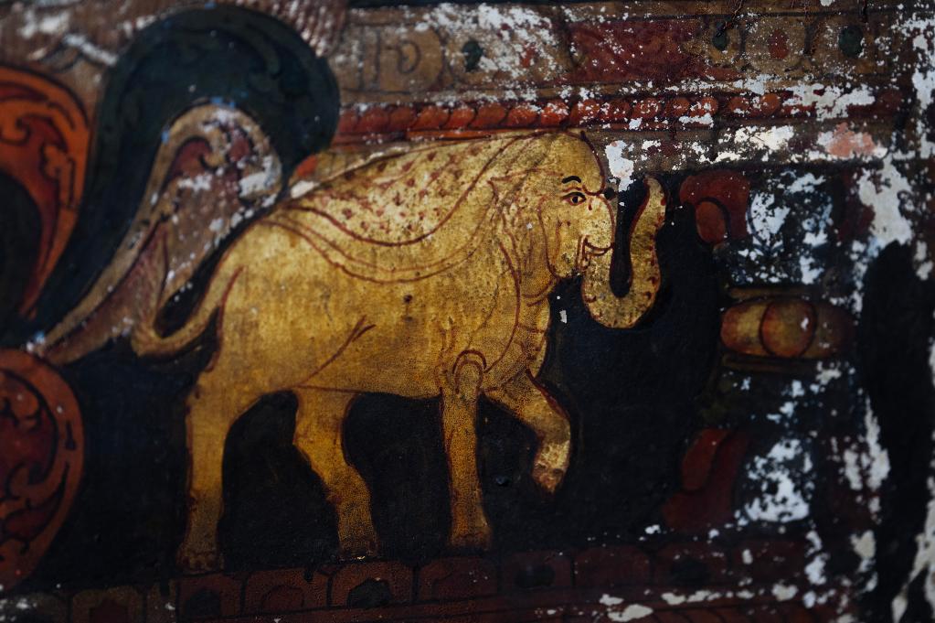 國道之行 從雪山奔向大海丨這么可愛(ài)的國寶，你見(jiàn)過(guò)嗎？