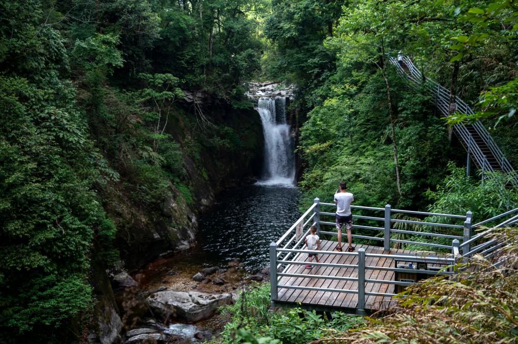 云南金平：坪河草地景區夏日引客來(lái)