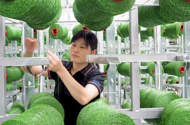 山東樂(lè )陵:體育用品制造業(yè)保持強勁勢頭