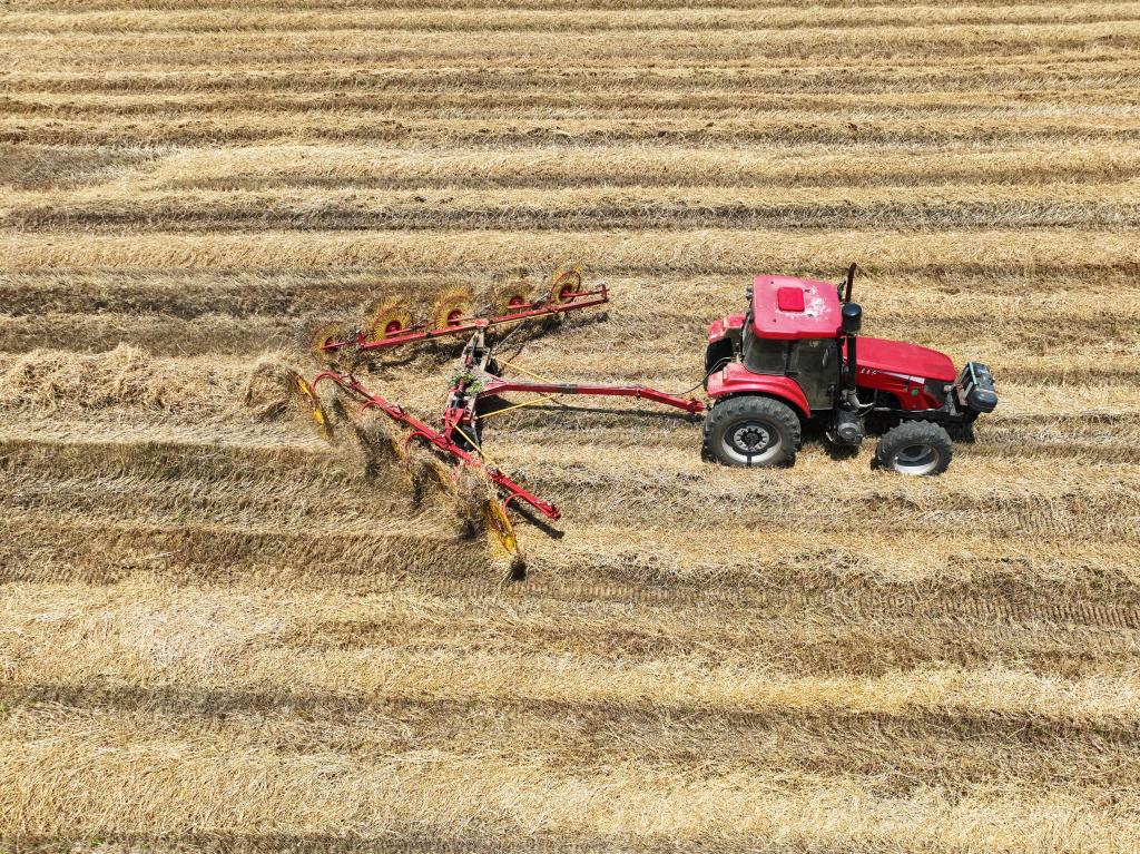 江蘇泗洪:秸稈離田 環(huán)保增收
