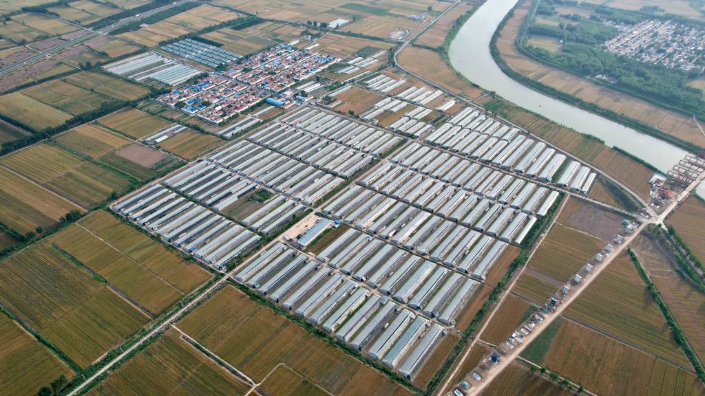 “采摘游”助推鄉村特色產(chǎn)業(yè)發(fā)展