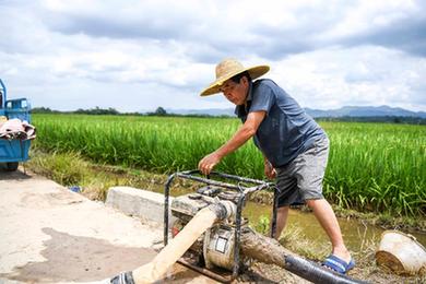 廣西:齊心協(xié)力應對旱情