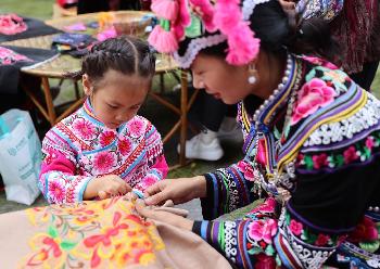 云南楚雄:古老彝繡煥新顏
