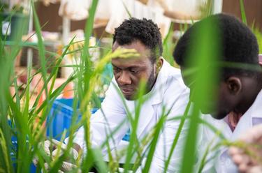 非洲青年尼克:我在中國學(xué)生態(tài)治理