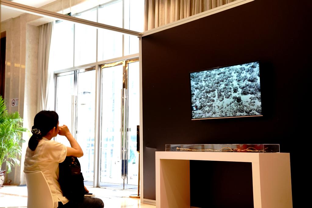 地球系統科學(xué)大會(huì )上的“科普熱”