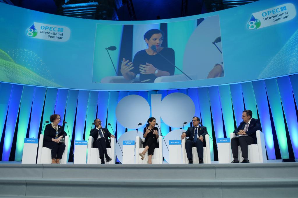 歐佩克國際研討會(huì )：代表呼吁能源轉型應可持續和有包容性