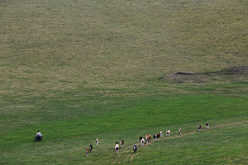 新華全媒+丨從牧場(chǎng)走進(jìn)球場(chǎng) 巴達瑪斯仁的足球情緣
