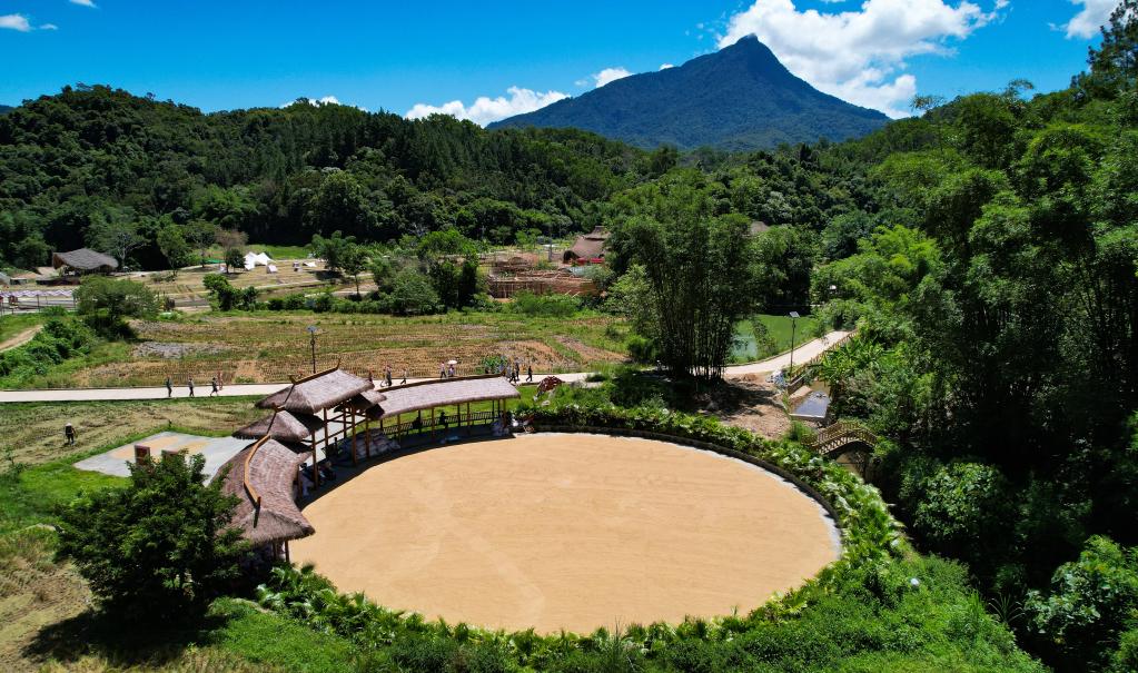 海南五指山:三伏將至農事忙