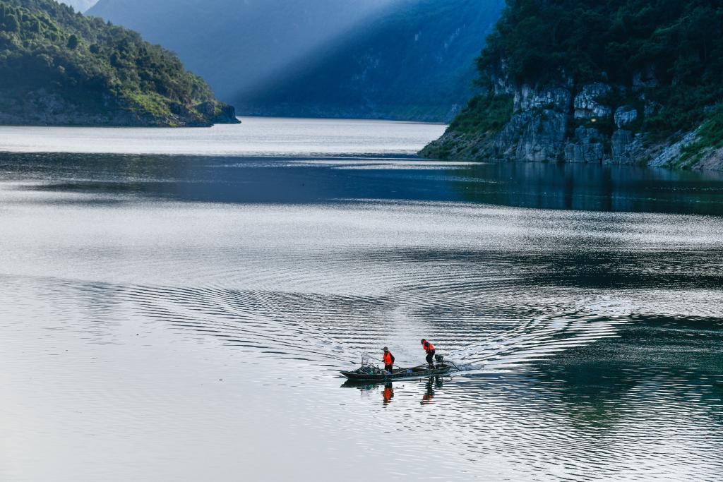 鏡觀(guān)中國·新華社國內新聞?wù)掌恢芫x