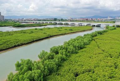 福建廈門(mén)：持續推進(jìn)生態(tài)保護 打造良好海洋生態(tài)環(huán)境