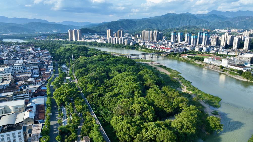 福建：古樹(shù)“老有所依” 留住鄉愁根脈