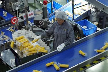 讓飯碗裝上更多優(yōu)質(zhì)“龍江糧”：黑龍江打造特色現代農業(yè)