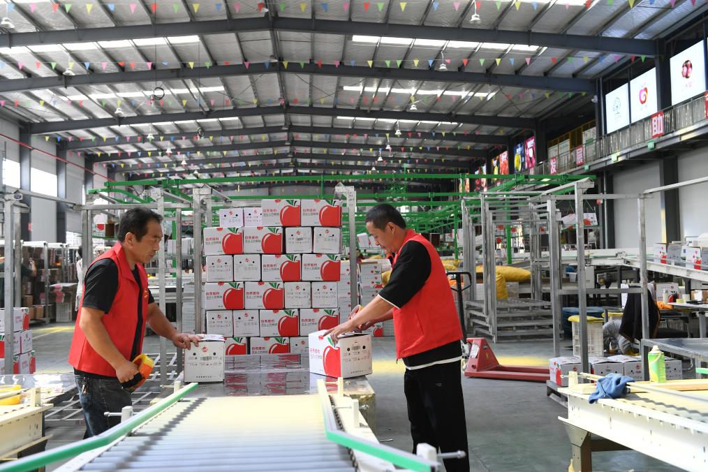 高質(zhì)量發(fā)展調研行丨陜西延安：“小蘋(píng)果”做成“大產(chǎn)業(yè)”