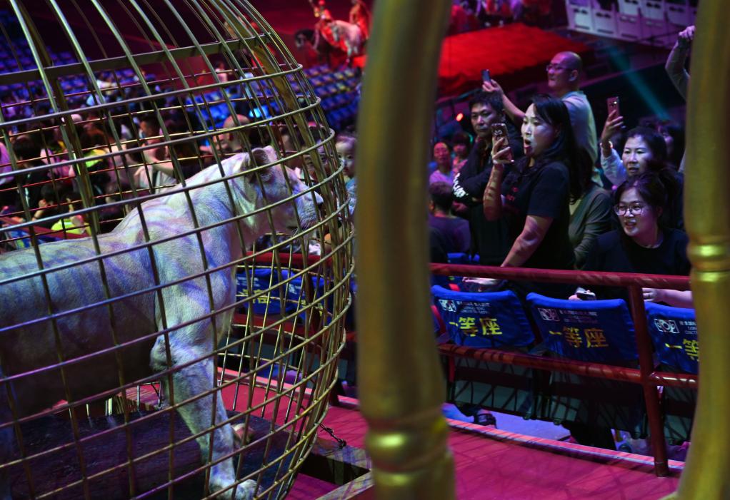 河北承德：特色演出點(diǎn)亮“夜經(jīng)濟”