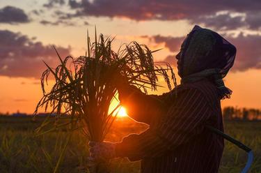 鏡觀(guān)中國·新華社國內新聞?wù)掌恢芫x