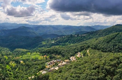 新華全媒+|天空之眼瞰祖國——飛閱景邁山古茶林文化景觀(guān)
