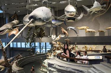 上海旅游節：70家文旅機構推出門(mén)票半價(jià)優(yōu)惠活動(dòng)