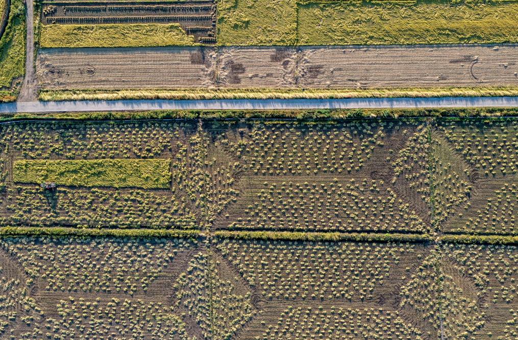 農機入田 農技下鄉——吉林力爭當好國家糧食穩產(chǎn)保供“壓艙石”