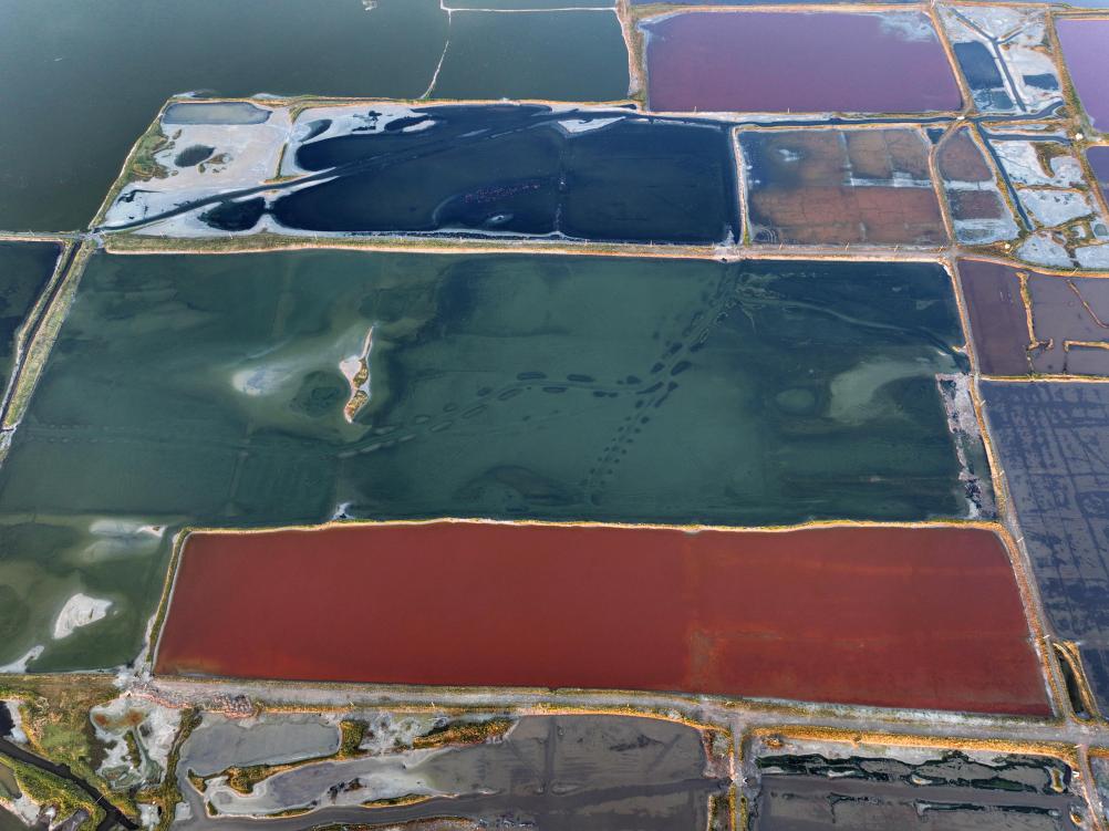 新時(shí)代中國調研行·黃河篇丨鹽湖日出
