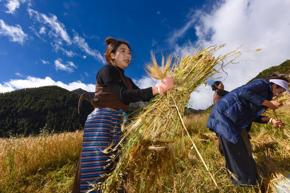 四川亞?。焊咴酱迩囡藏S收