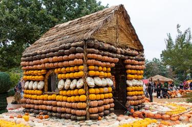 美國達拉斯十萬(wàn)南瓜堆成“南瓜小鎮”
