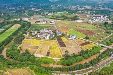 “藝術(shù)鄉建”為鄉村振興注入新活力