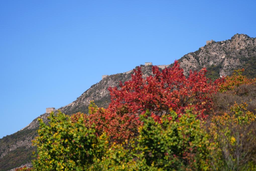 美麗中國丨司馬臺長(cháng)城秋色