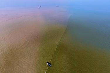 新時(shí)代中國調研行·黃河篇丨當黃河遇到大海