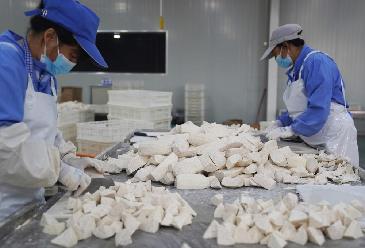 福建長(cháng)?。盒∮箢^ 大產(chǎn)業(yè)