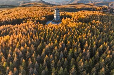 鏡觀(guān)中國·新華社國內新聞?wù)掌恢芫x