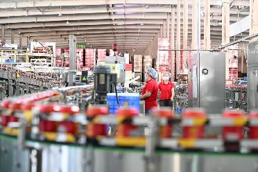 貴州惠水：東西部協(xié)作助力鄉村振興