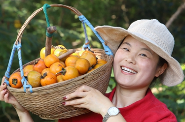 詩(shī)意中國丨霜重梨棗熟