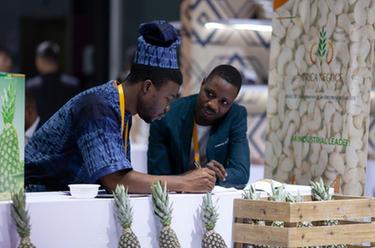 貝寧菠蘿亮相進(jìn)博會(huì )