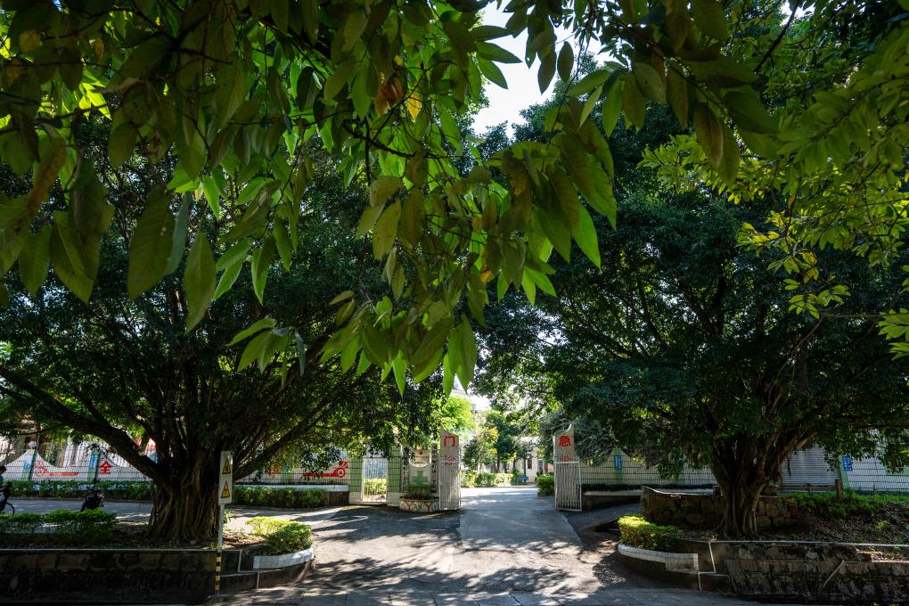 “國門(mén)醫生”沈坤：懸壺三十載 仁心護健康