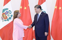 習近平會(huì )見(jiàn)秘魯總統博魯阿爾特