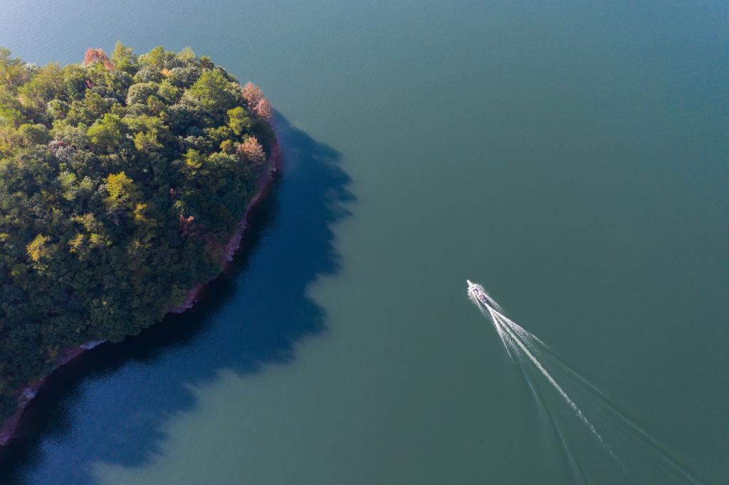 浙江淳安：山鄉“共富蜜”迎來(lái)豐收季
