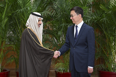 韓正集體會(huì )見(jiàn)阿拉伯、伊斯蘭國家外長(cháng)聯(lián)合代表團