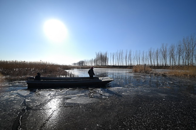 光影一瞥:白洋淀上的“破冰”美景