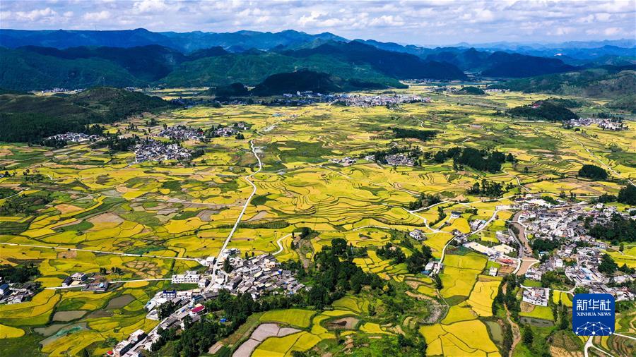 (新華全媒頭條·圖文互動(dòng))(7)從百年黨史汲取不懈奮斗的力量——與會(huì )同志談黨的十九屆六中全會(huì )精神