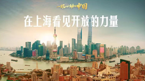 一眼心動(dòng)的中國丨在上?？匆?jiàn)開(kāi)放的力量