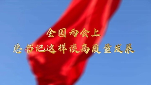 兩會(huì )上，總書(shū)記這樣談高質(zhì)量發(fā)展