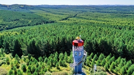 聆聽(tīng)習主席2022年新年賀詞：“讓我們一起向未來(lái)”