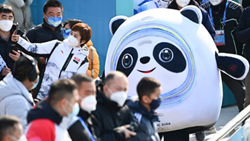 透過(guò)“冰墩墩”，感受可愛(ài)的中國