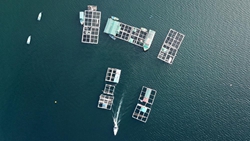 在漁排，遇見(jiàn)不一樣的香港