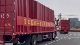 那只“跳進(jìn)”愛(ài)心蔬菜包的手機咋樣啦？請聽(tīng)刷屏“奇遇”后續……