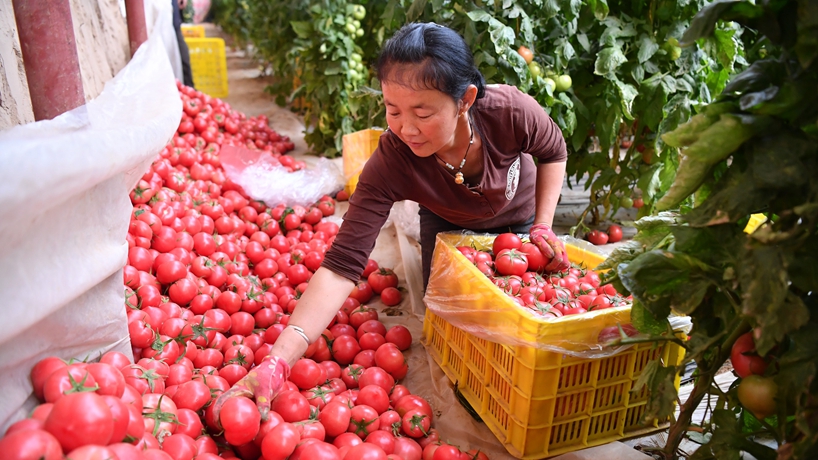 春天里，我們一起譜寫(xiě)振興新歌