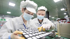 復工復產(chǎn)進(jìn)行時(shí)丨點(diǎn)滴創(chuàng  )新、集群發(fā)展……這些企業(yè)堅定擴產(chǎn)