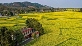 非凡十年丨四川:在新征程上奮力譜寫(xiě)治蜀興川新篇章