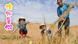 “雙減”后的第一個(gè)暑假，小朋友們是怎么度過(guò)的？